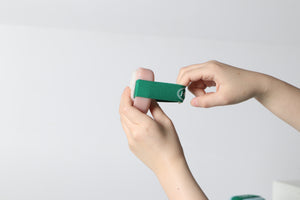fascia elastica